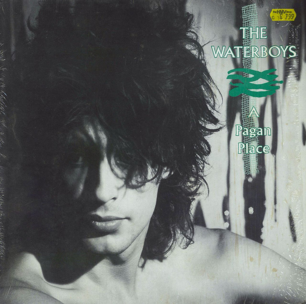 The Waterboys A Pagan Place - Shrink UK vinyl LP album (LP record) CHEN2