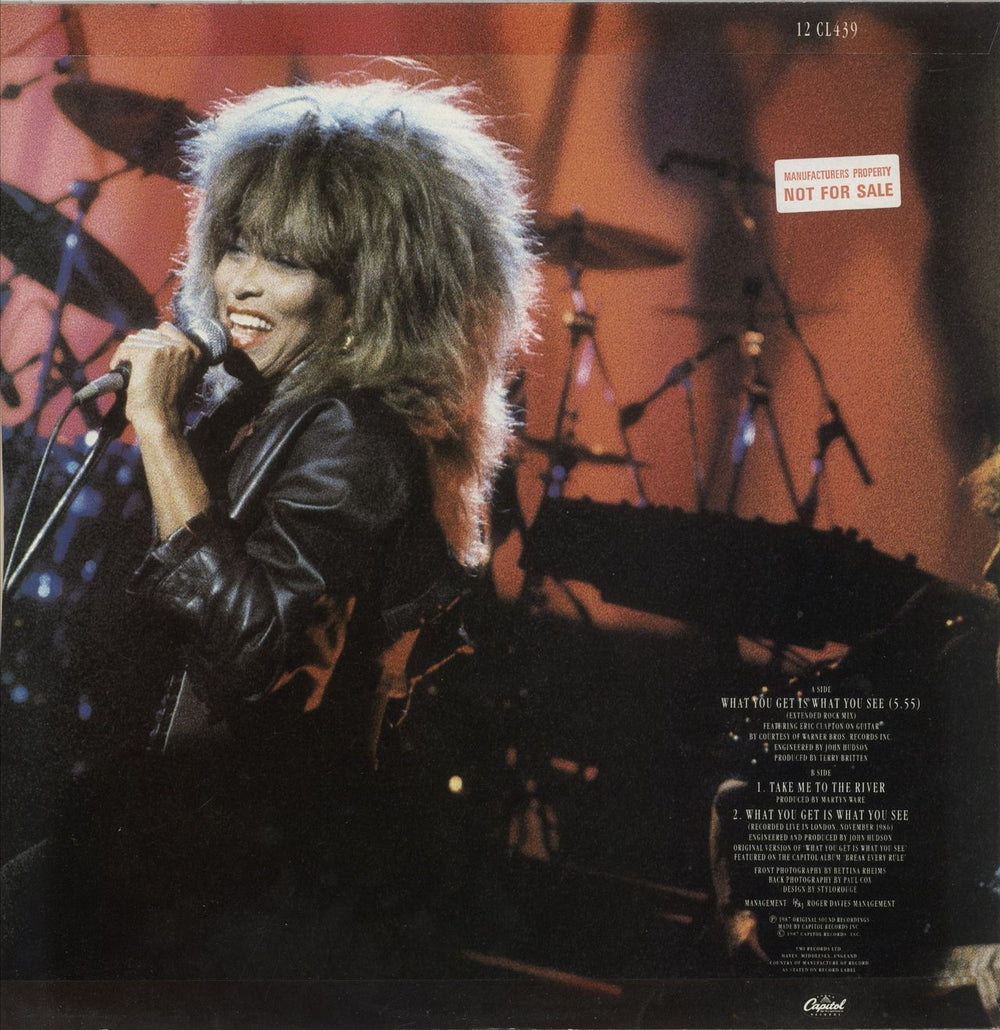Tina Turner What You Get Is What You See UK 12" vinyl single (12 inch record / Maxi-single)