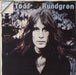 Todd Rundgren Hermit Of Mink Hollow Italian vinyl LP album (LP record) ORL8439