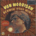 Van Morrison Blowin' Your Mind - Virgin Vinyl UK vinyl LP album (LP record) SVLP49