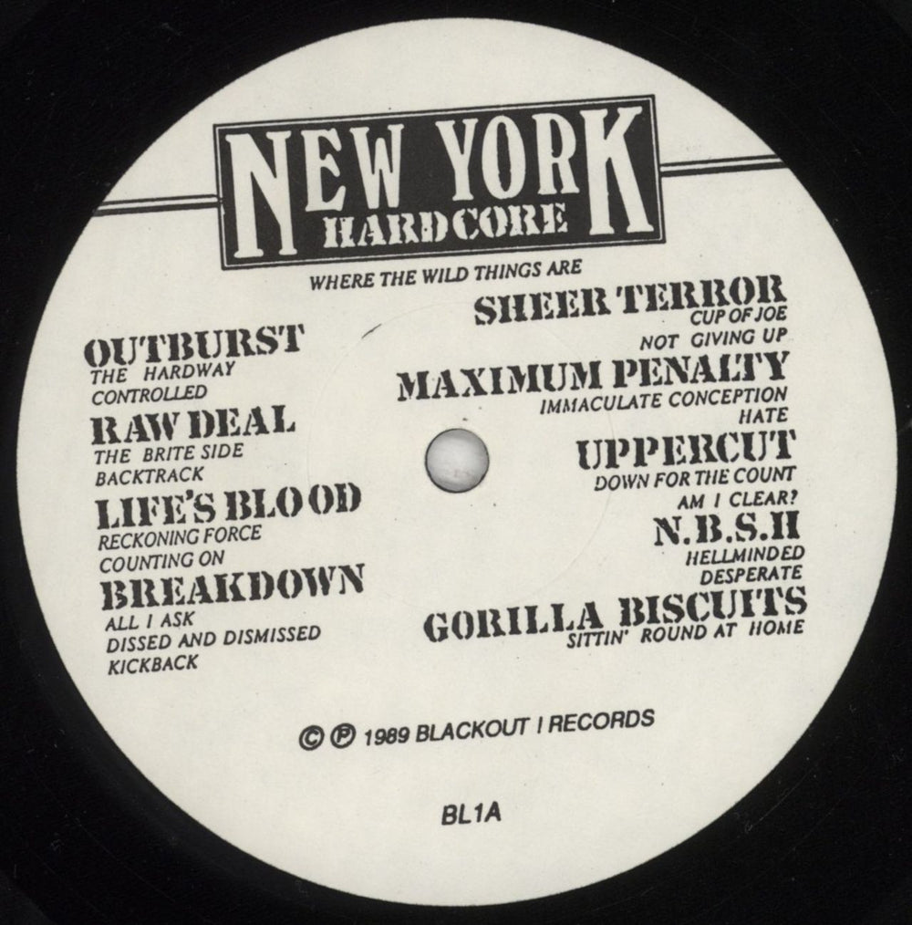 Various-Punk & New Wave New York Hardcore - Where The Wild Things Are US vinyl LP album (LP record) PVALPNE852884