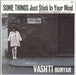 Vashti Bunyan Some Things Just Stick In Your Mind US 2-LP vinyl record set (Double LP Album) STEP-11