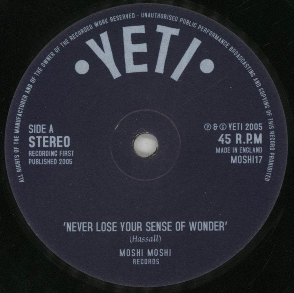 Yeti Never Lose Your Sense Of Wonder / Working For The Industry UK 7" vinyl single (7 inch record / 45) YAG07NE513614