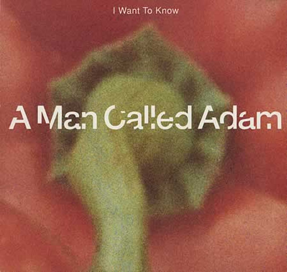 A Man Called Adam I Want To Know UK 12" vinyl single (12 inch record / Maxi-single) BLR38T