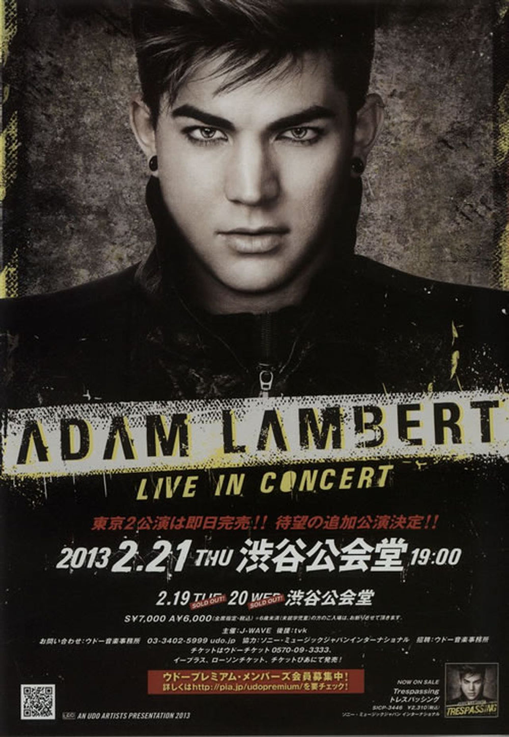 Adam Lambert Live in Tokyo 2013 Japanese Promo handbill HANDBILL