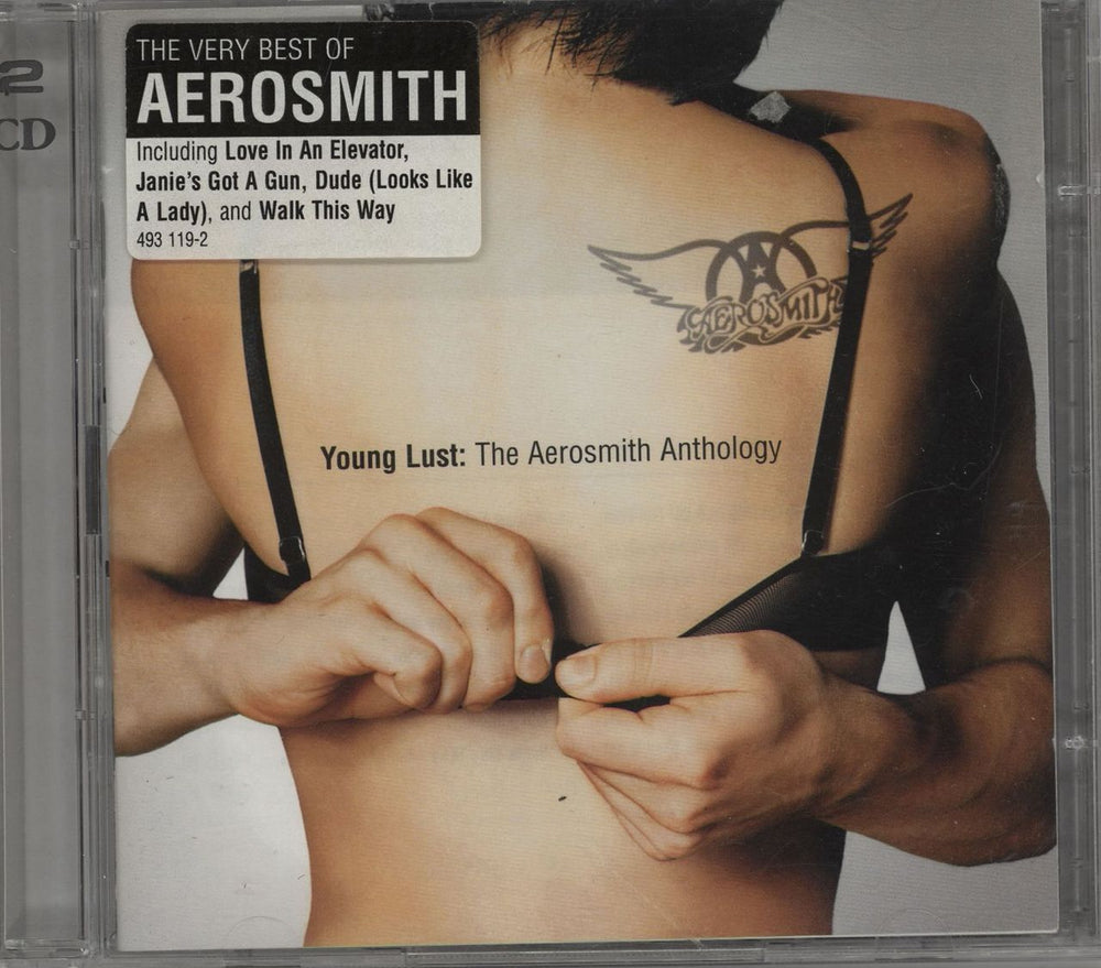 Aerosmith Young Lust: The Aerosmith Anthology UK 2 CD album set (Double CD) 493119-2