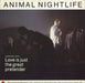 Animal Nightlife Love Is Just The Great Pretender UK 12" vinyl single (12 inch record / Maxi-single) 12ISX200