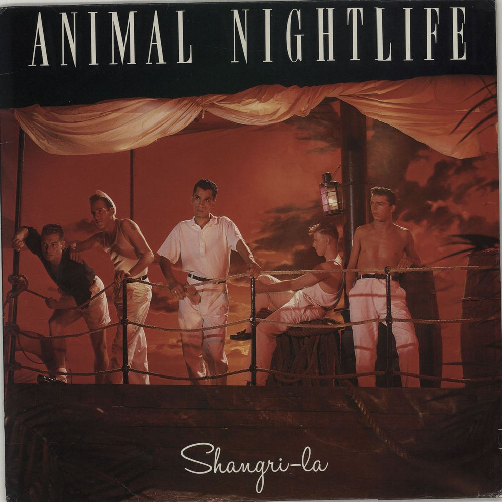 Animal Nightlife Shangri-La UK vinyl LP album (LP record) ILPS9830