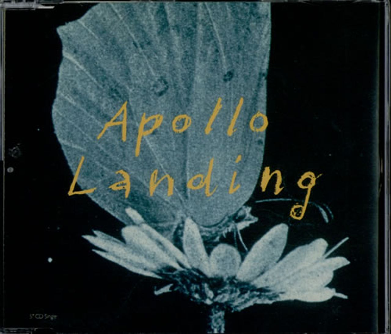 Apollo Landing