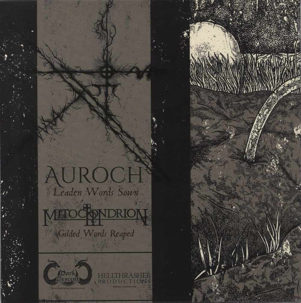 Auroch In Cronian Hour US 7" vinyl single (7 inch record / 45)