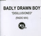 Badly Drawn Boy Disillusioned UK Promo CD-R acetate CD ACETATE