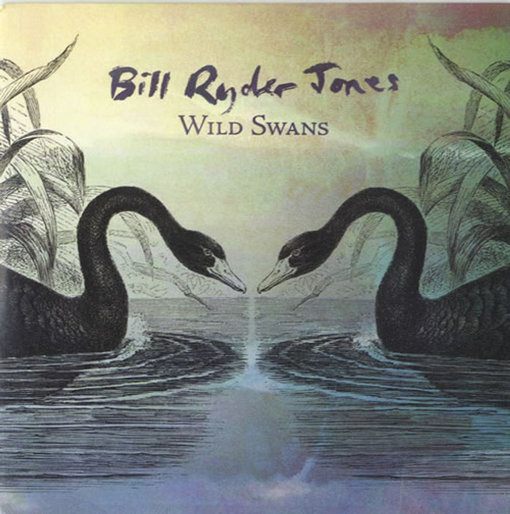 Bill Ryder-Jones Wild Swans UK Promo CD single (CD5 / 5") RUG543CDP