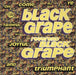 Black Grape Reverend Black Grape UK 12" vinyl single (12 inch record / Maxi-single) RAXT16