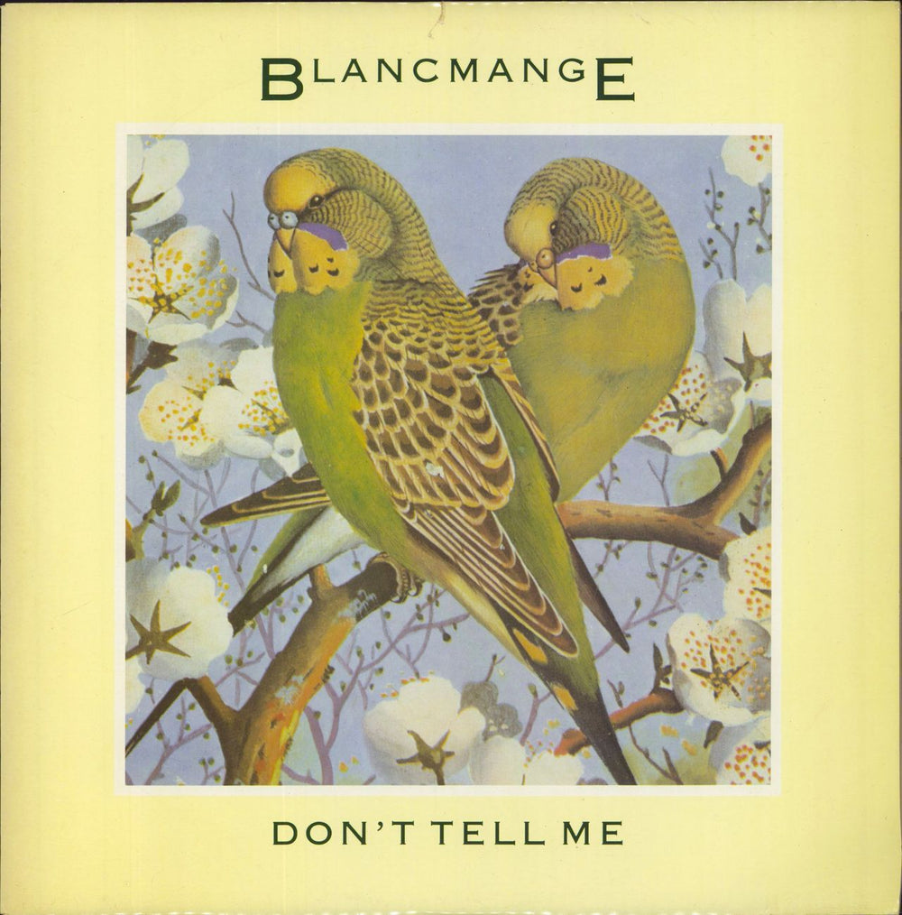 Blancmange Don't Tell Me + Sleeve UK Promo 12" vinyl single (12 inch record / Maxi-single) BLANX7