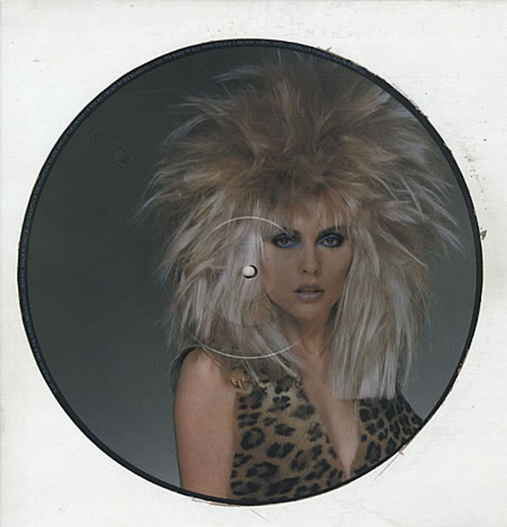 Blondie The Hunter UK picture disc LP (vinyl picture disc album) PCDL1384