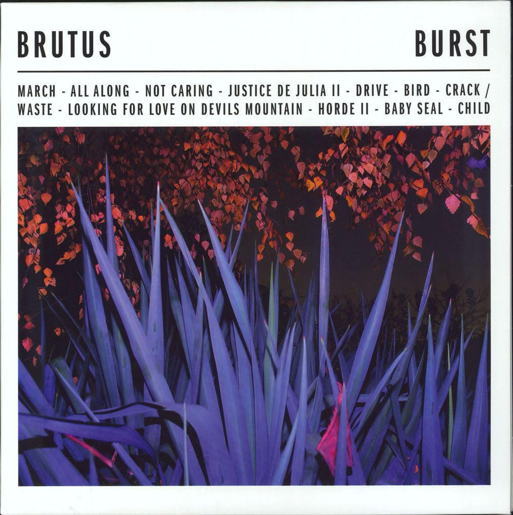 Brutus Burst Belgian vinyl LP album (LP record) HOFF240LPB