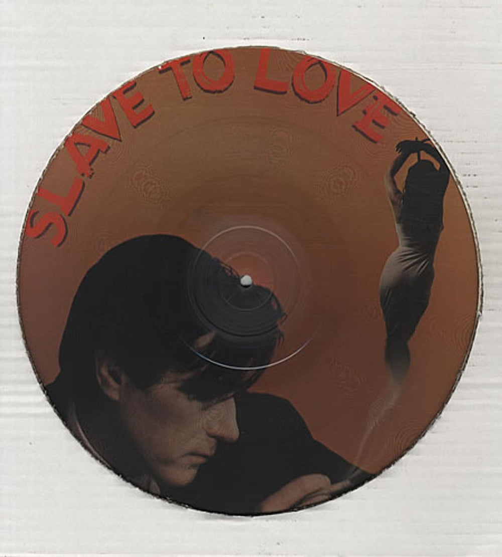 Bryan Ferry Don't Stop The Dance UK 12" vinyl picture disc (12 inch picture record) FER2PDO15863