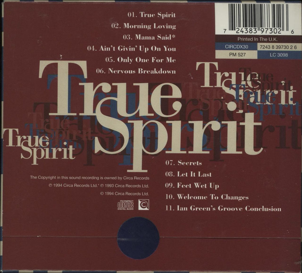 Carleen Anderson True Spirit UK CD album (CDLP) RLECDTR221367