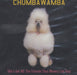 Chumbawamba She's Got All The Friends That Money Can Buy US Promo CD single (CD5 / 5") UNIR-20033-2