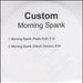 Custom Morning Spank UK Promo CD-R acetate CD-R ACETATE