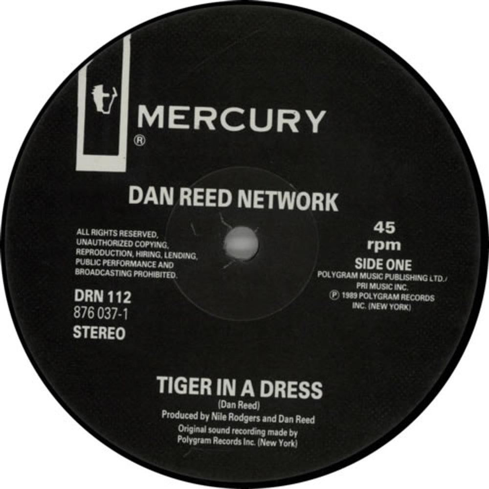 Dan Reed Network Tiger In A Dress UK 12" vinyl single (12 inch record / Maxi-single) DRN12TI612324