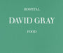 David Gray Hospital Food UK Promo CD single (CD5 / 5") PRO15627