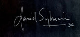 David Sylvian Taking The Veil - Autographed UK 12" vinyl single (12 inch record / Maxi-single) 5012980081561