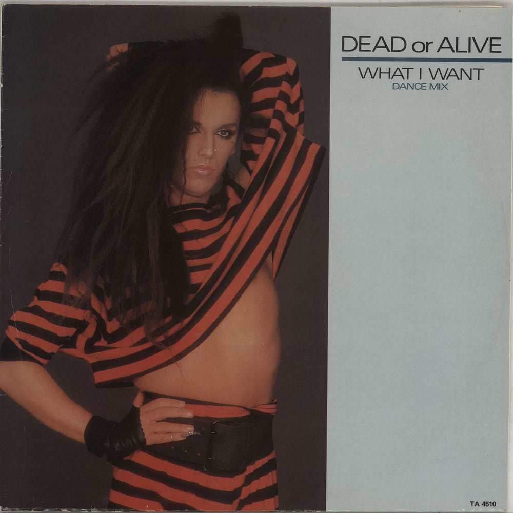 Dead Or Alive What I Want UK 12" vinyl single (12 inch record / Maxi-single) TA4510