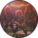 Destruction Mad Butcher / Sentence Of Death Swedish picture disc LP (vinyl picture disc album) D47PDMA773281