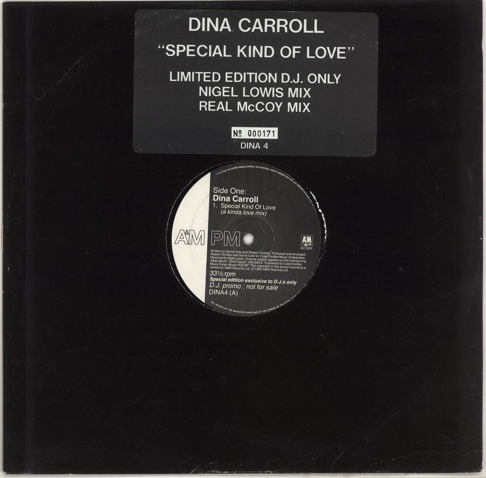 Dina Carroll Special Kind Of Love UK Promo 12" vinyl single (12 inch record / Maxi-single) DINA4