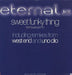 Eternal Sweet Funky Thing UK Promo 12" vinyl single (12 inch record / Maxi-single) 12EMDJ353