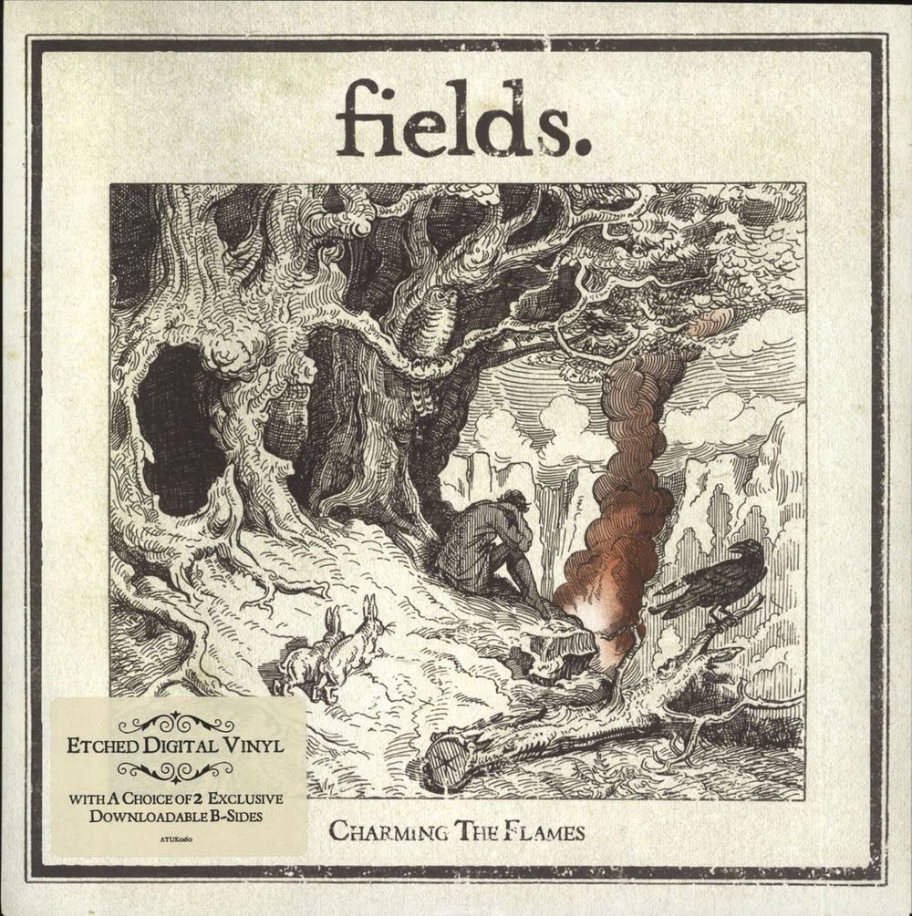 Fields (Indie) Selected Works Vol. 1 Promo Boxed Set 7'' + CD album UK Promo 7" single box set FI27XSE450075