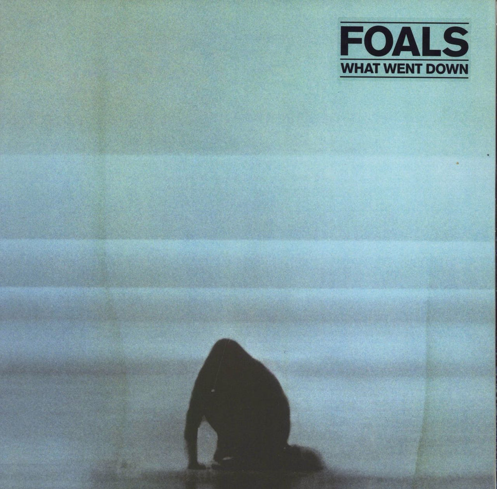 Foals What Went Down - 180gram Vinyl UK vinyl LP album (LP record) 0825646075034