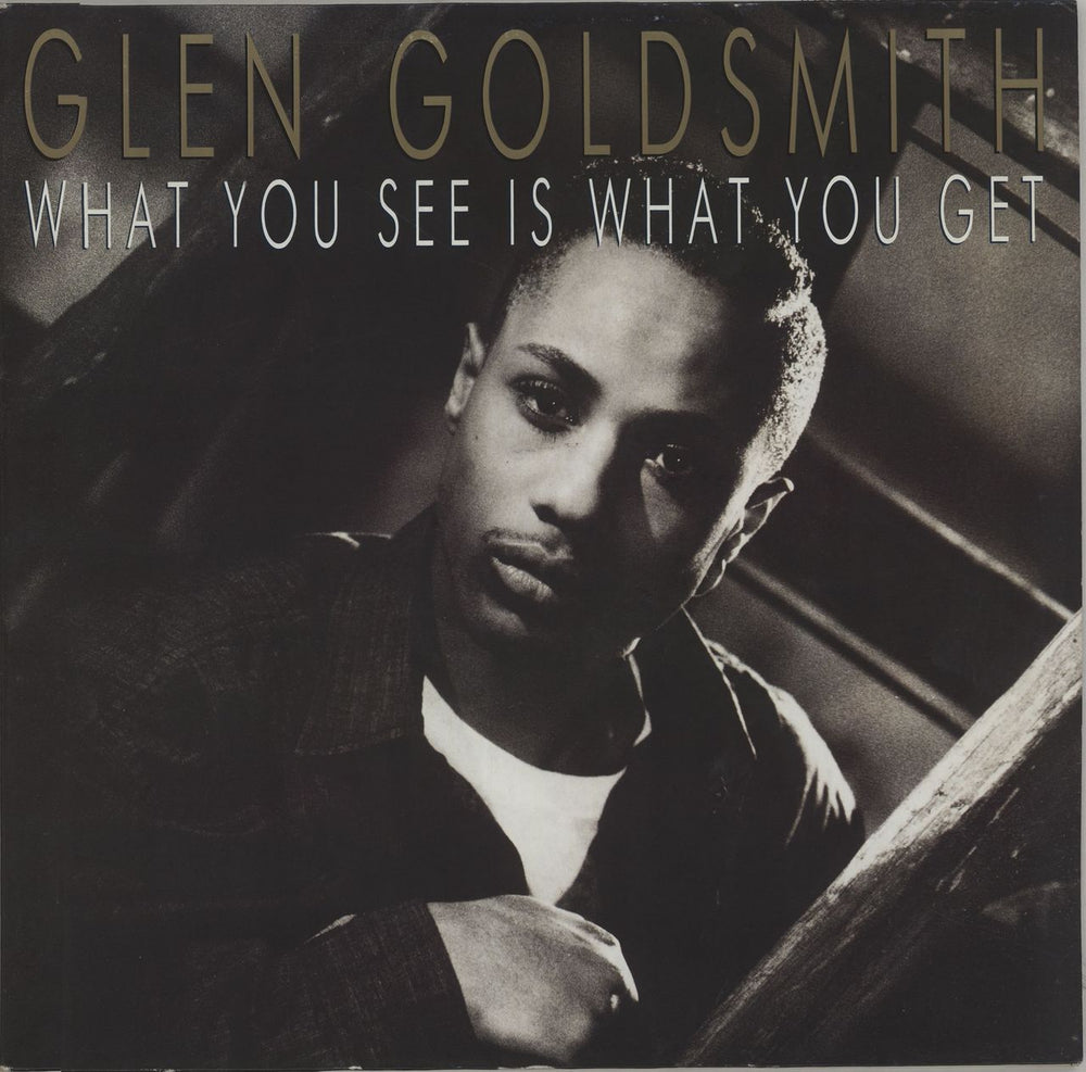 Glen Goldsmith What You See Is What You Get German 2-LP vinyl record set (Double LP Album) PL71750G