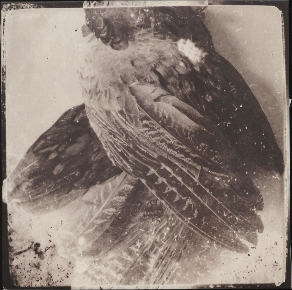 Glissando The World Without Us UK vinyl LP album (LP record) GZH40LP