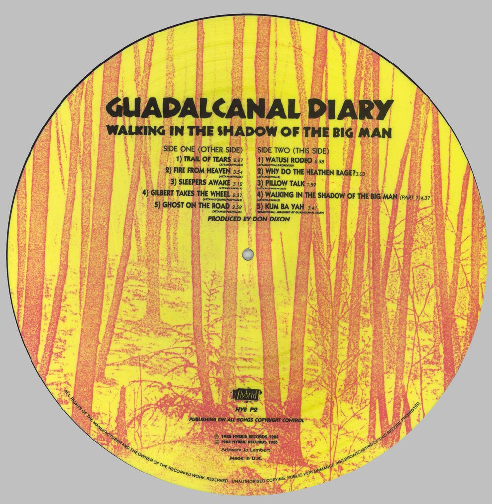 Guadalcanal Diary Walking In The Shadow Of The Big Man UK picture disc LP (vinyl picture disc album)