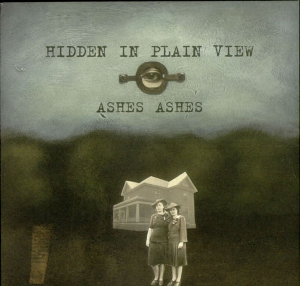 Hidden In Plain View Ashes Ashes UK 7" vinyl single (7 inch record / 45) DTUSE018