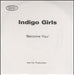 Indigo Girls Become You UK Promo CD-R acetate CDR ACETATE