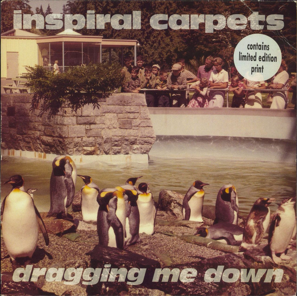 Inspiral Carpets Dragging Me Down + Inserts UK 12" vinyl single (12 inch record / Maxi-single) DUNG16T