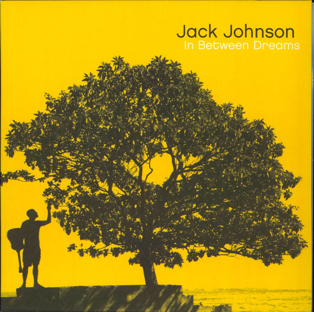 Jack Johnson In Between Dreams - 180gm Vinyl US vinyl LP album (LP record) B0004149-01