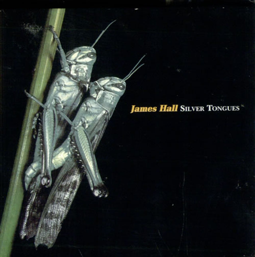 James Hall Silver Tongues UK CD single (CD5 / 5") ENDCD1