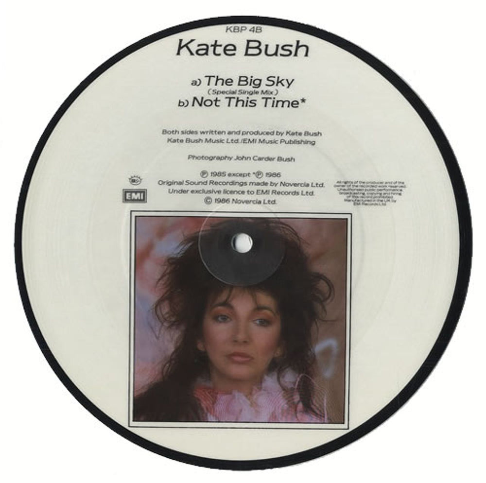 Kate Bush The Big Sky UK 7" vinyl picture disc (7 inch picture disc single) BUS7PTH18780