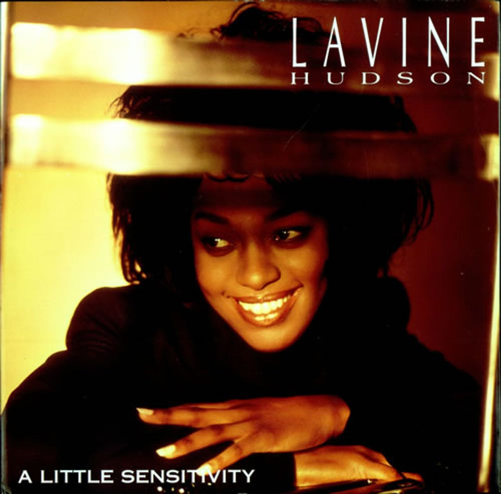 Lavine Hudson A Little Sensitivity UK 12" vinyl single (12 inch record / Maxi-single) TENX351