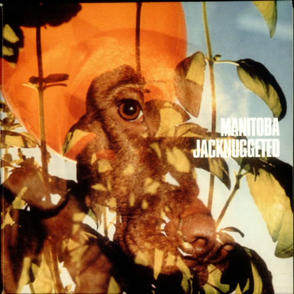 Manitoba Jacknuggeted UK CD single (CD5 / 5") DOCK35CD