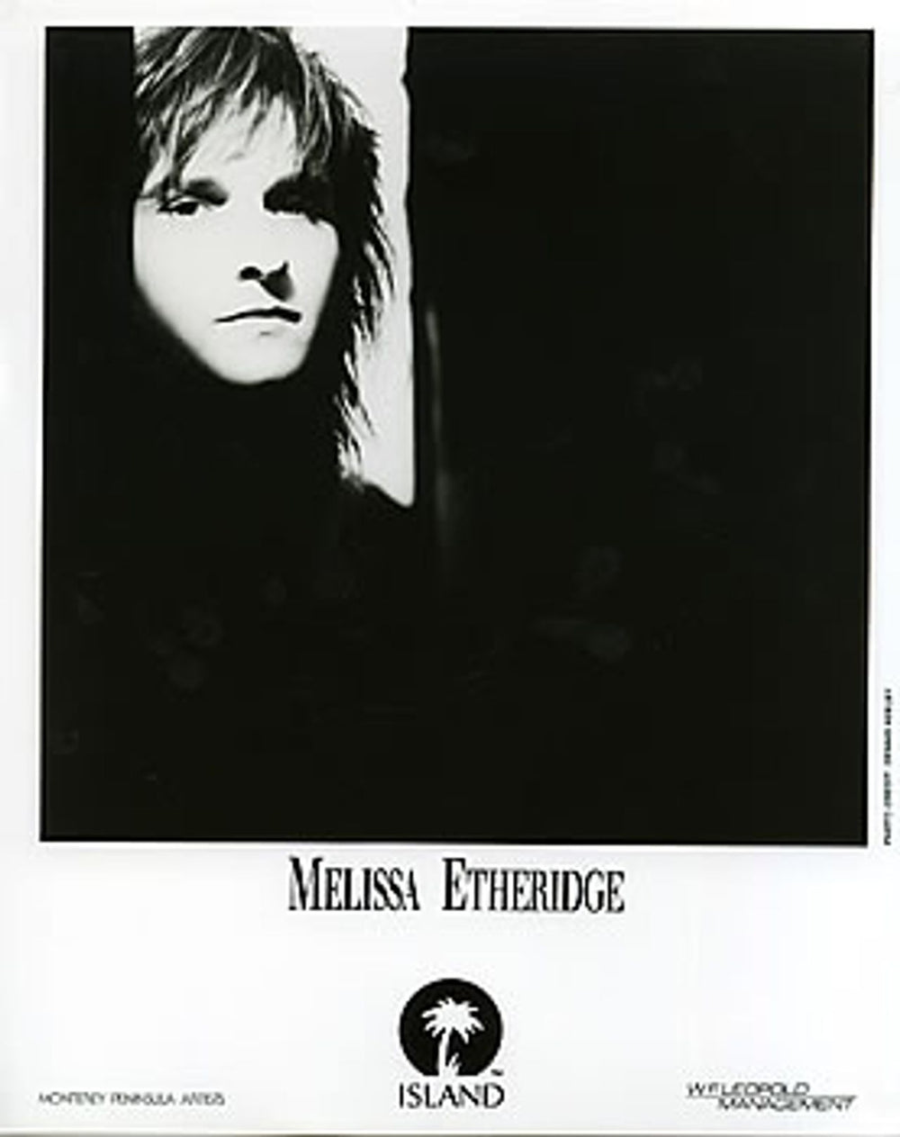 Melissa Etheridge Brave And Crazy US Promo media press pack PRESS PACK