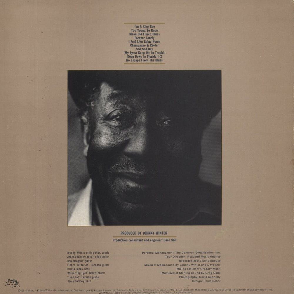 Muddy Waters King Bee Canadian vinyl LP album (LP record)