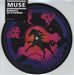 Muse Knights Of Cydonia - Sealed UK 7" vinyl picture disc (7 inch picture disc single) HEL3004