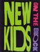 New Kids On The Block No More Games UK tour programme