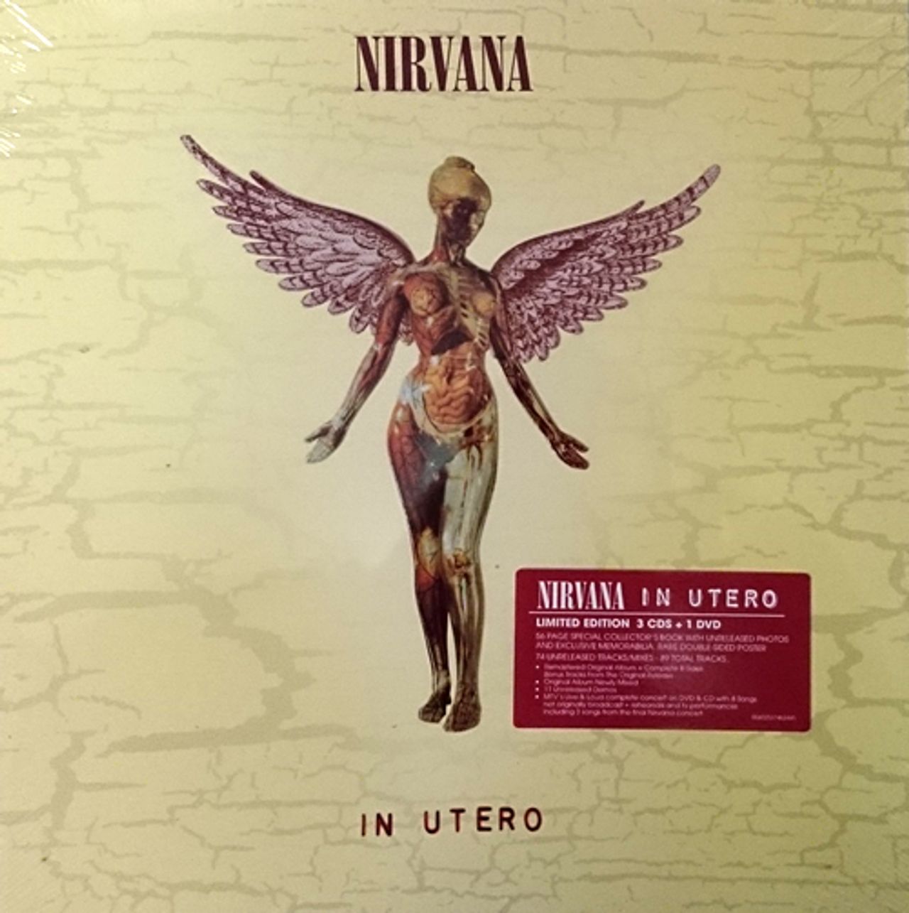 Nirvana (US) In Utero - Super Deluxe Edition - Sealed UK Cd Album Box ...