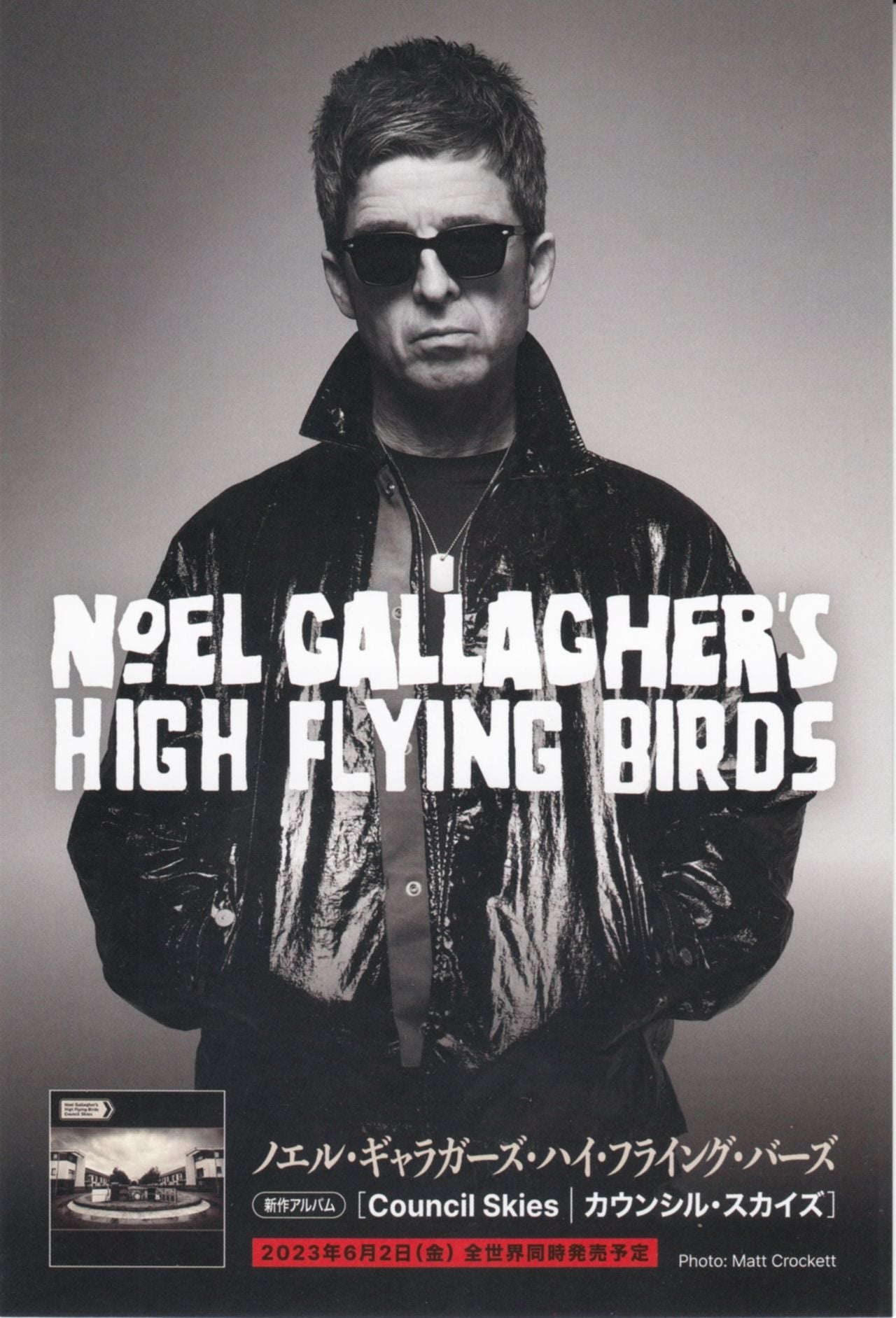 NOEL GALLAGHER'S HFB／COUNCIL SKIES 限定盤LP - 洋楽
